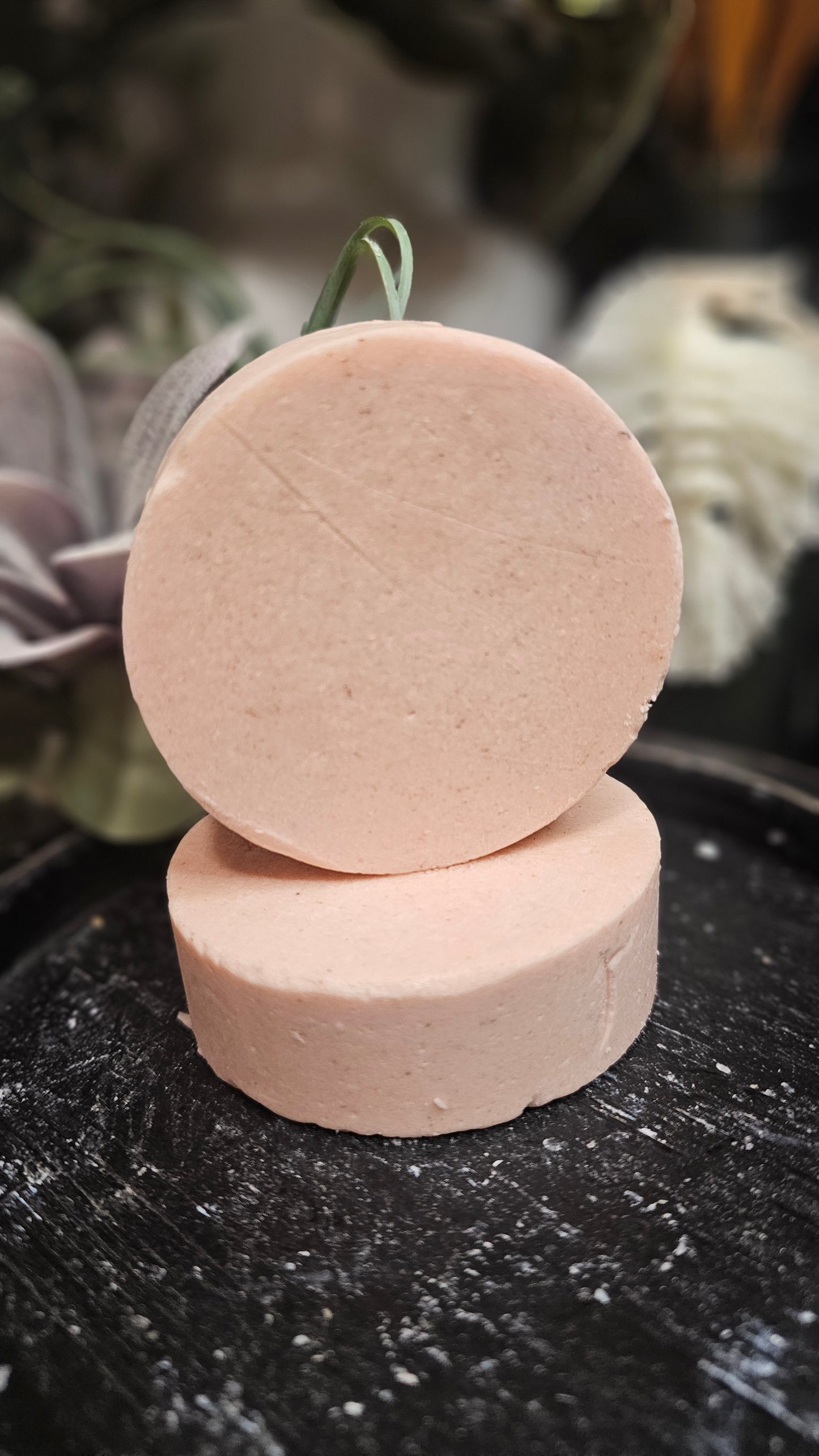 Two beige circular objects on a dark textured surface with blurred greenery in the background.