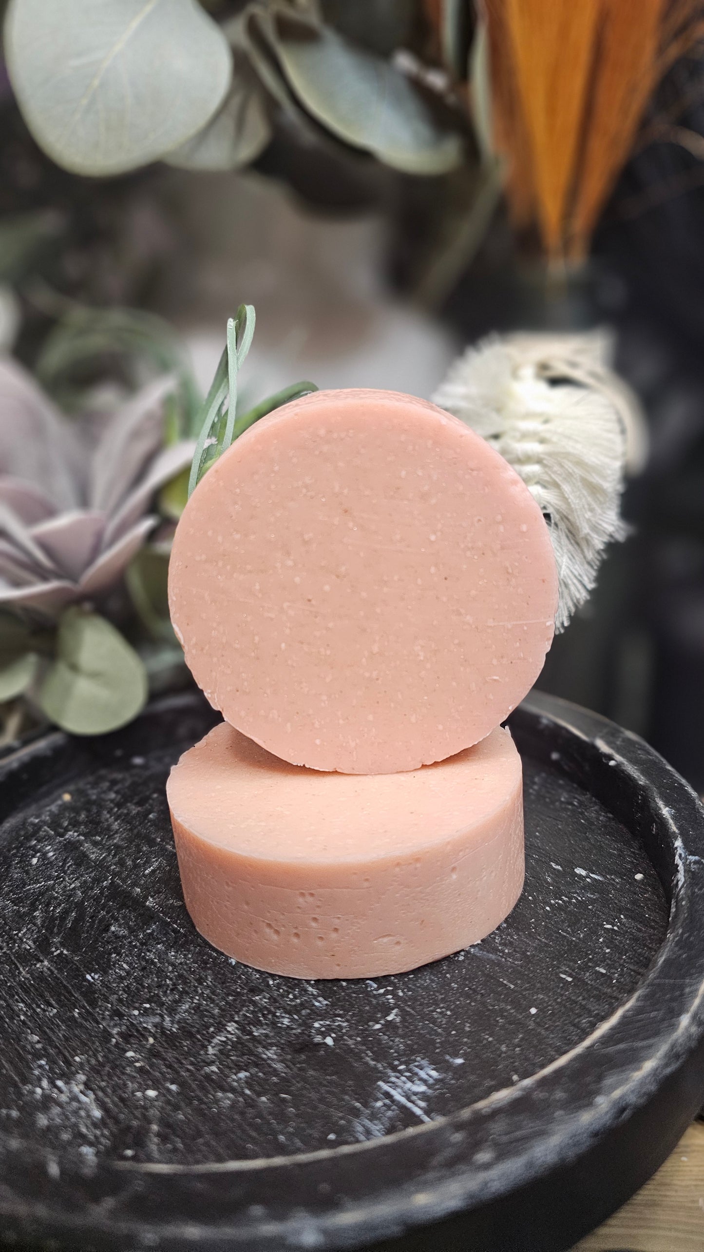 Two beige circular objects on a black metal surface with a blurred natural background